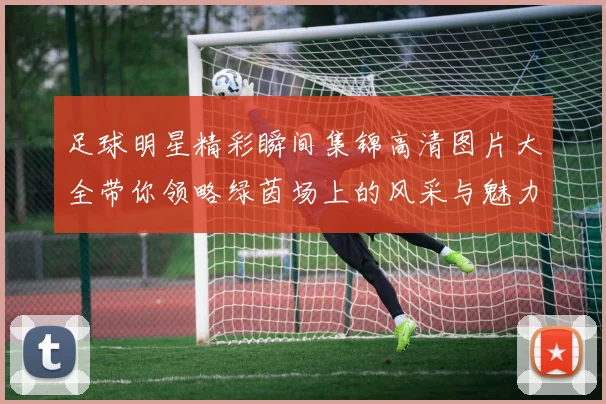 足球明星精彩瞬间集锦高清图片大全带你领略绿茵场上的风采与魅力