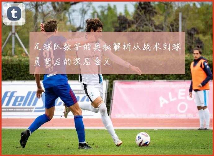 足球队数字的奥秘解析从战术到球员背后的深层含义
